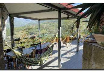 484926-Vorschaubild2