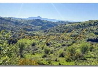 485943-Vorschaubild2