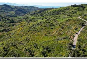 485943-Vorschaubild3