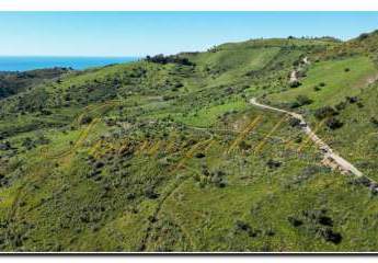 485943-Vorschaubild4