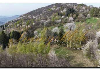 488558-Vorschaubild2
