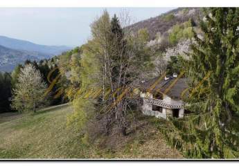 488558-Vorschaubild3