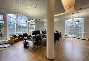 423543-Vorschaubild2