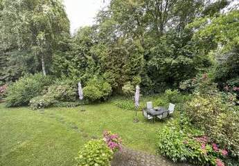 380316-Vorschaubild3