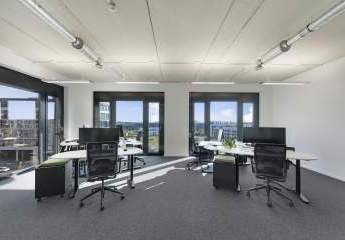 430285-Vorschaubild4