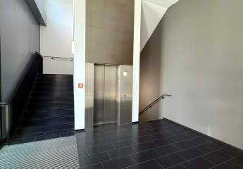 459018-Vorschaubild4