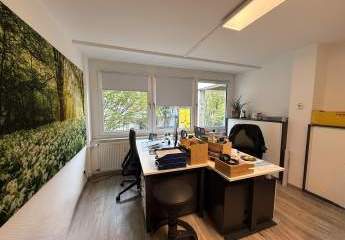 475313-Vorschaubild2