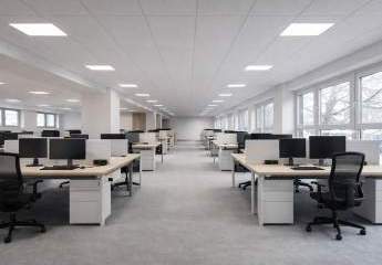 485569-Vorschaubild2