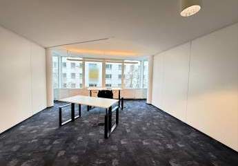 486391-Vorschaubild4