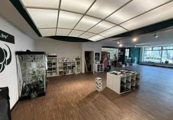 Urban Workspace in Ehrenfeld – moderne Kreativflächen mit Showroom-Charakter