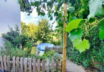 451519-Vorschaubild4