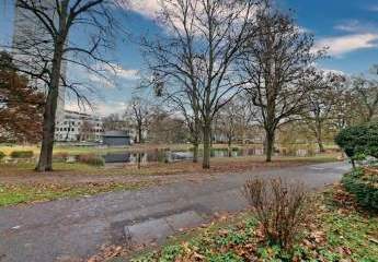 466814-Vorschaubild3