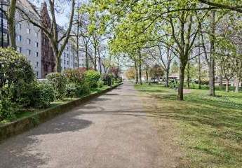 484761-Vorschaubild3