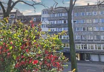 484762-Vorschaubild2