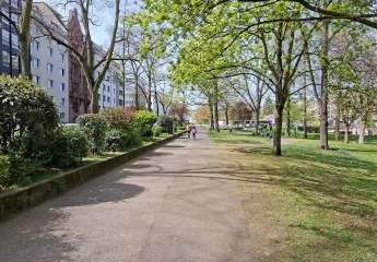 484762-Vorschaubild3