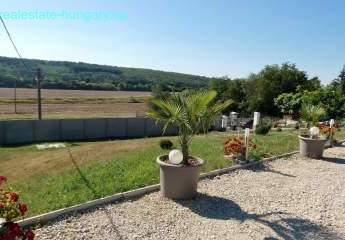 458126-Vorschaubild4