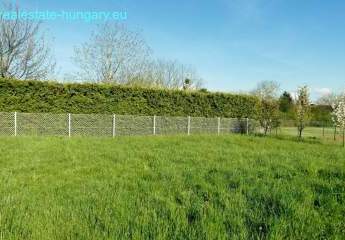 458133-Vorschaubild4