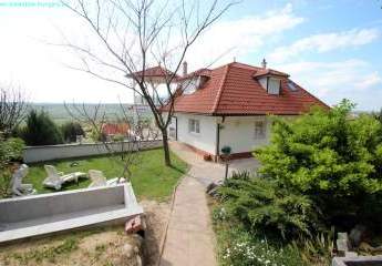 458138-Vorschaubild3