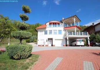 458138-Vorschaubild4