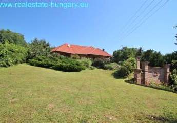 458144-Vorschaubild2