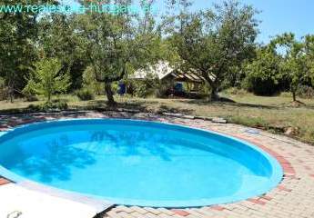 458159-Vorschaubild3