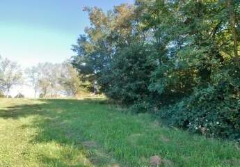 458165-Vorschaubild3