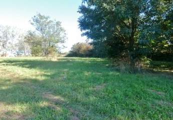 458165-Vorschaubild4