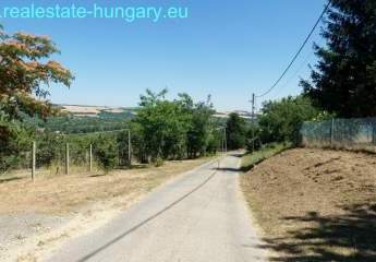 458166-Vorschaubild2