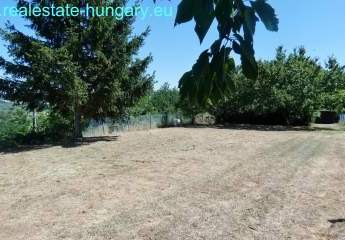 458166-Vorschaubild4