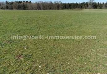 481849-Vorschaubild2