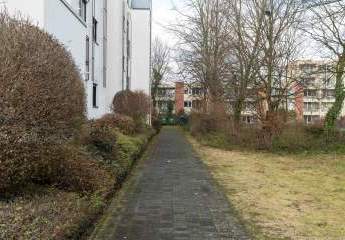 470715-Vorschaubild3