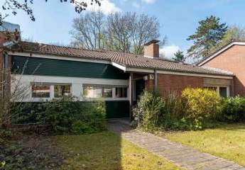 481851-Vorschaubild2