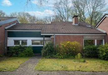 481851-Vorschaubild3