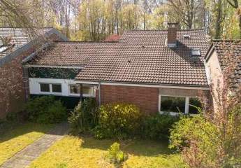 481851-Vorschaubild4