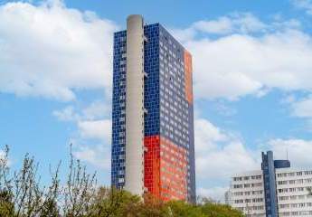 482081-Vorschaubild3