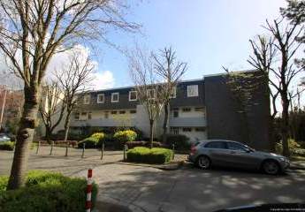 482100-Vorschaubild2