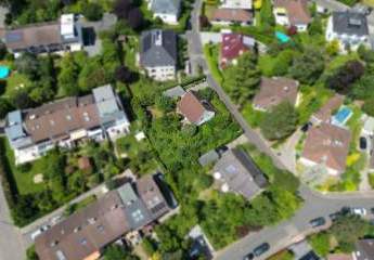 388055-Vorschaubild2