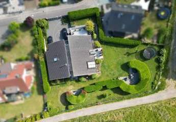 482896-Vorschaubild4