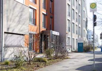 483162-Vorschaubild2