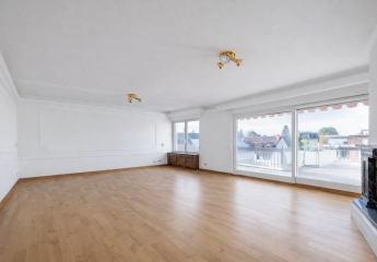 483167-Vorschaubild4