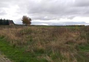 411022-Vorschaubild2