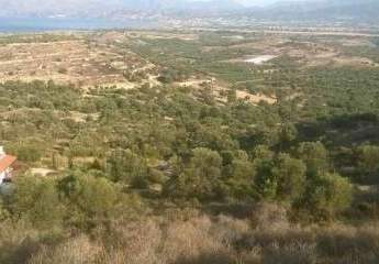 Süd Kreta; Kamilari Grundstück mit Meerblick 10.000m²