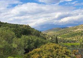 Süd Kreta, Pitsidia Baugrundstück 5.500 m²