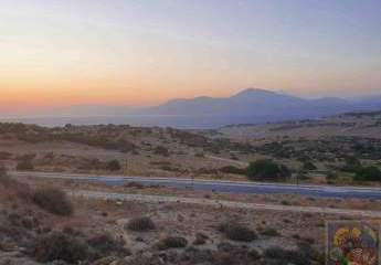 Süd Kreta Pitsidia, Baugrundstück ca. 2337m² mit Meer- und Bergblick