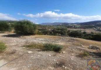 Süd Kreta, Pitsida Baugrundstück 4800 m² mit Meerblick