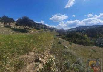 Süd Kreta Pitsidia (Komos) Grundstück 4.800 m² Meerblick