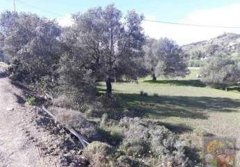 Süd Kreta Pitsidia Grundstück 2.000 m² mit toller Aussicht