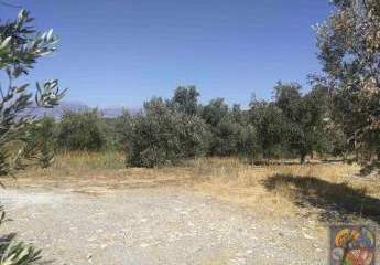 Kreta, Listaros, Grundstück mit Meerblick zu verkaufen