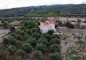 Kreta, Siva, freistehende Villa Wfl.230m² im Olivenhain
