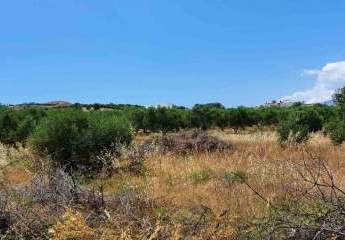Kreta Kamilari, Baugrundstück 2.000m² mit Baugenehmigung! zu verkaufen